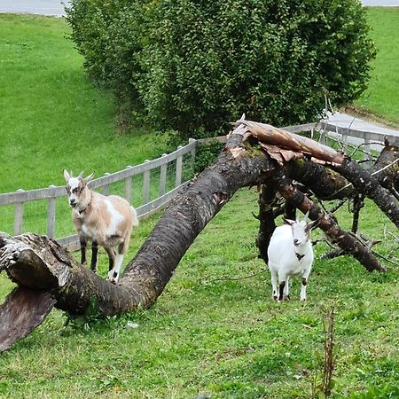 Ferienwohnung Gut Mitterlehen Elsbethen Exterior foto